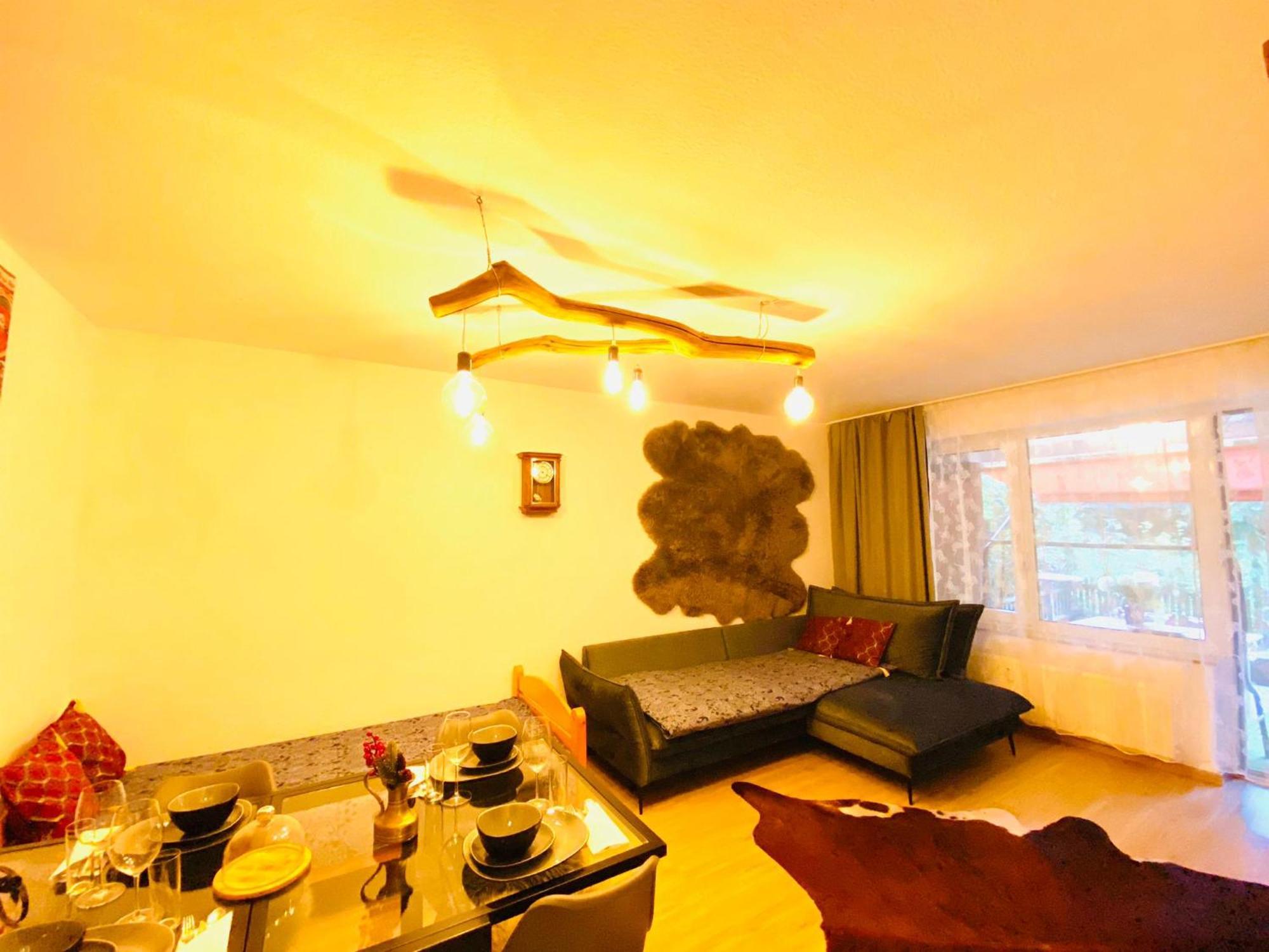 Hannovermesseapartment With Terrace *